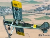 D-ENOW 001 aks